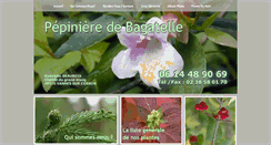 Desktop Screenshot of pepiniere-bagatelle.fr